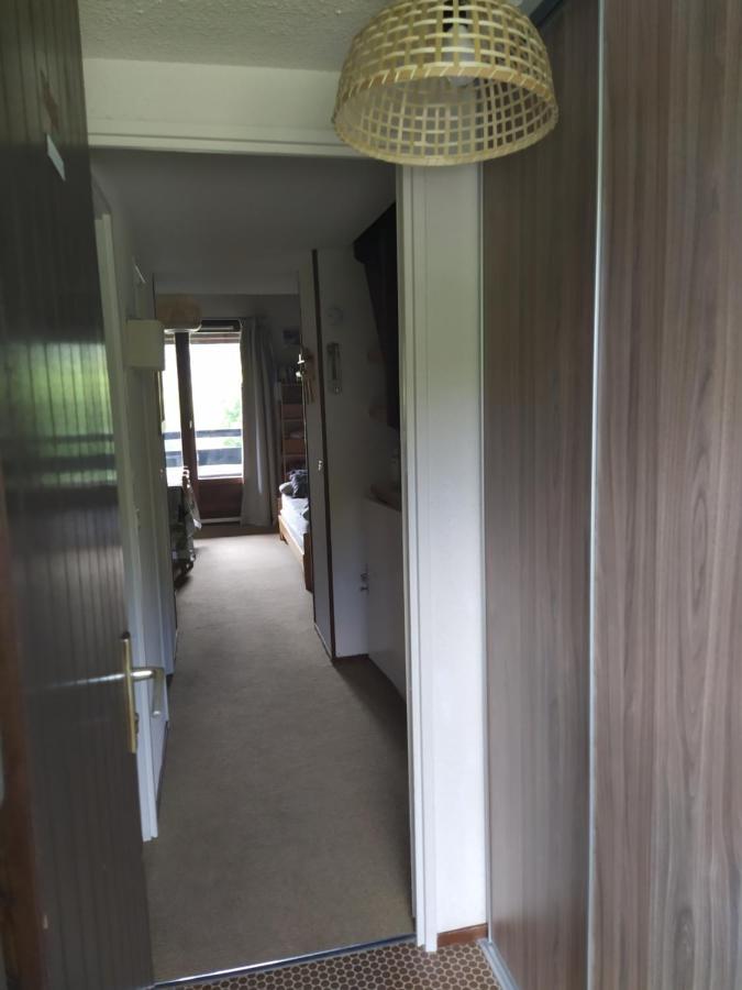 شقة Duplex 3 Pieces. Pieds Des Pistes Et Balcon! جريس أون فيركور المظهر الخارجي الصورة